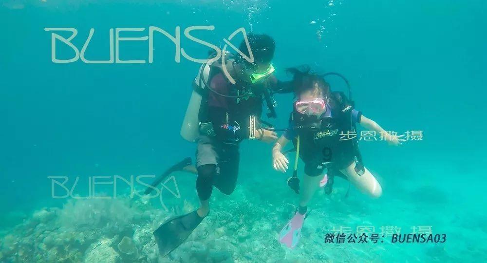 探探猫宝石岛